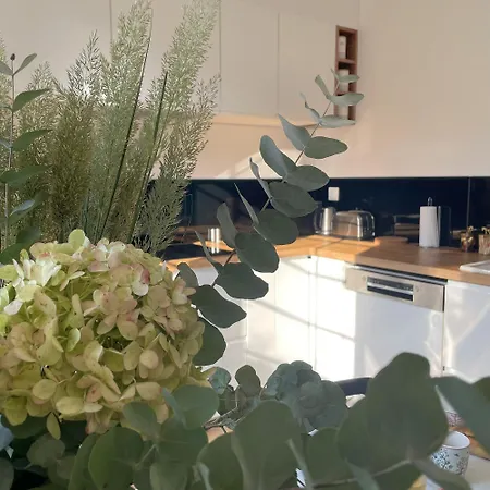 Des Princes With Private Garden By La Boite En Apartment